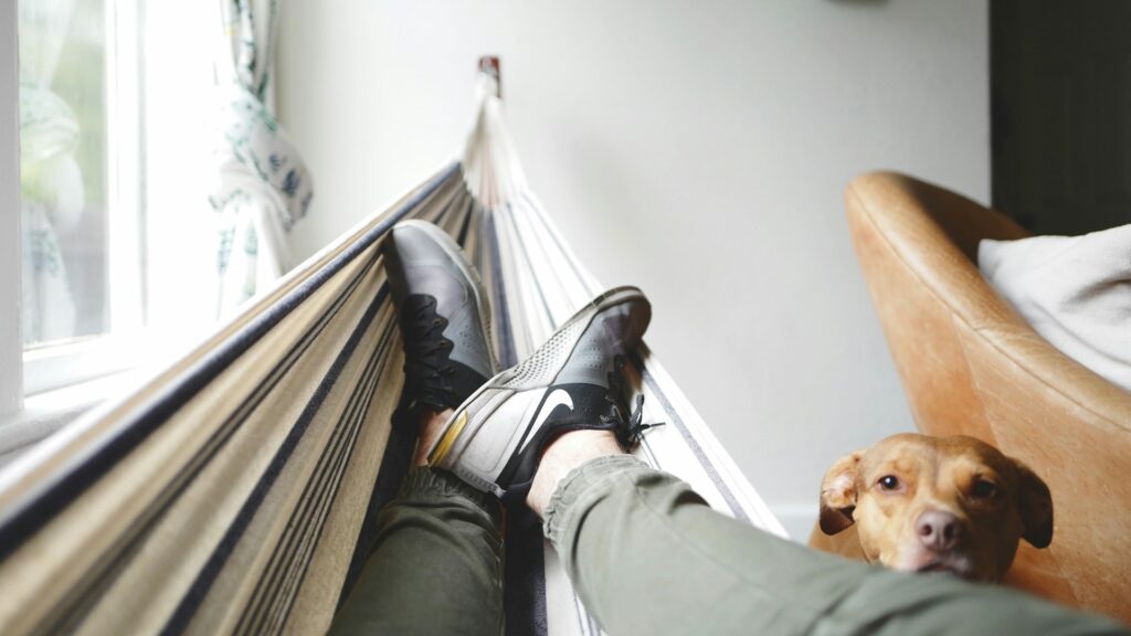 Moment van rust tijdens drukke dagen met ontspannen houding in een hangmat binnenshuis naast een hond